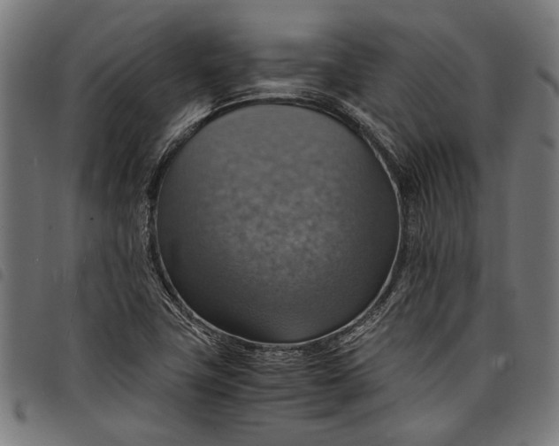 X0000097881411200803281213