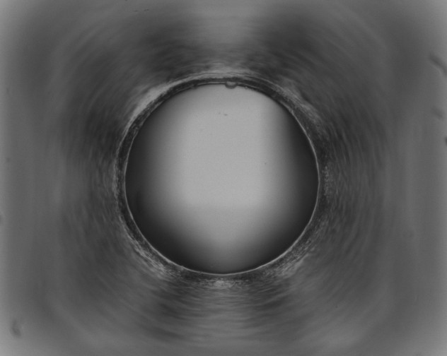 X0000097881412200803281213