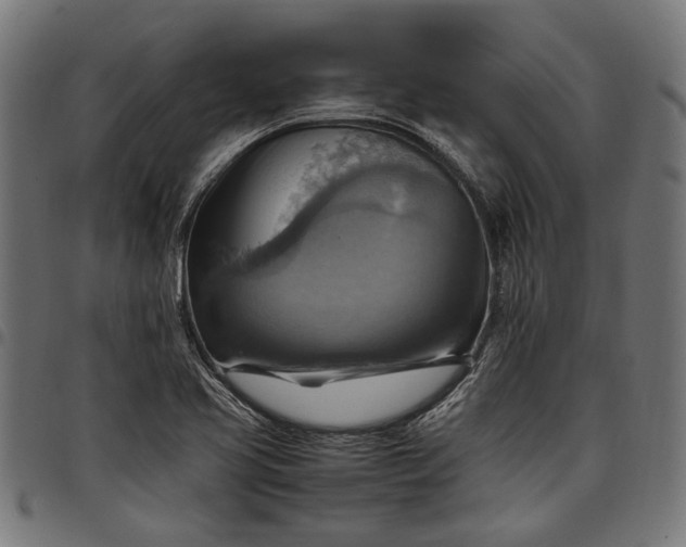 X0000097881413200803281213