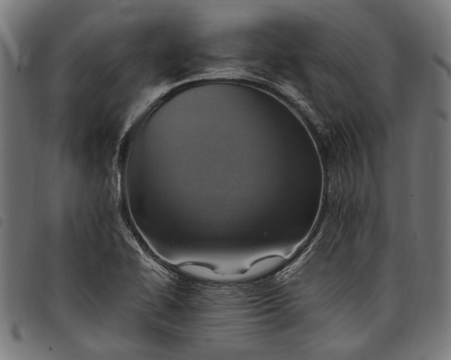 X0000097881414200803281213