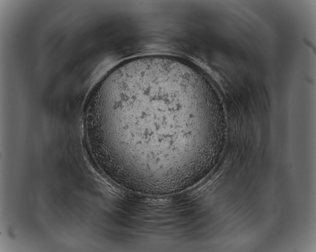 X0000097881415200803281213