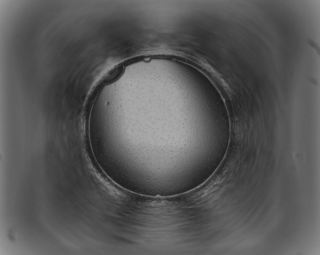 X0000097881416200803281213