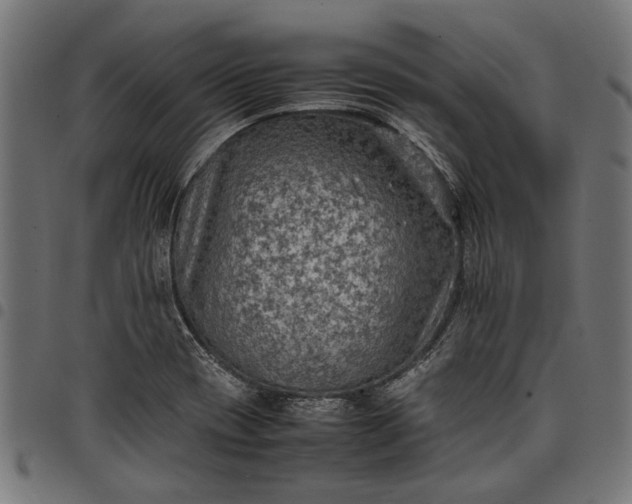 X0000097881417200803281213