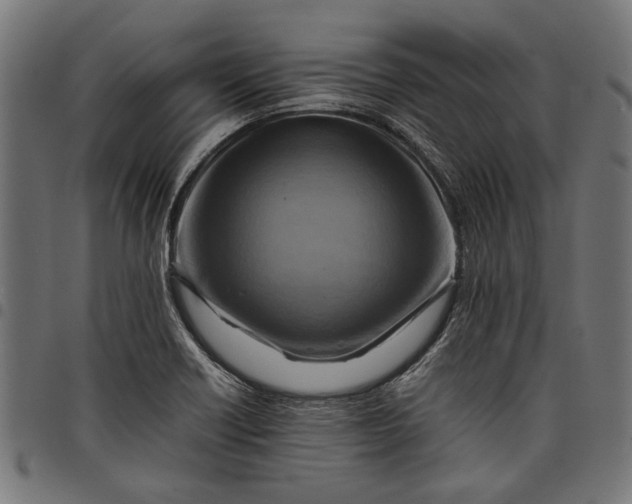 X0000097881418200803281213