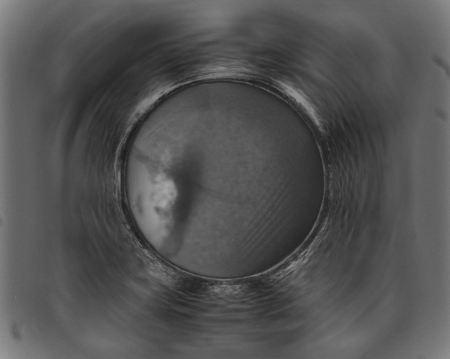 X0000097881419200803281214