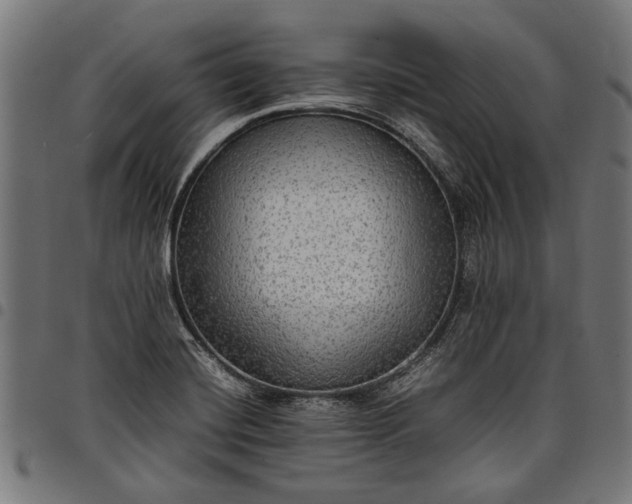 X0000097881420200803281214