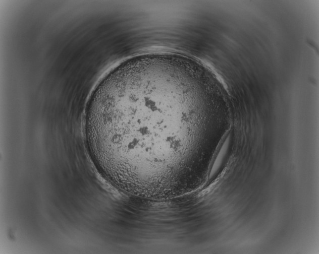 X0000097881421200803281214