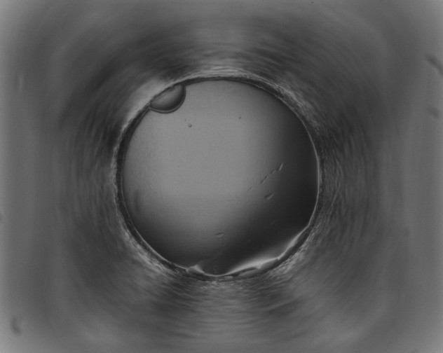 X0000097881422200803281214