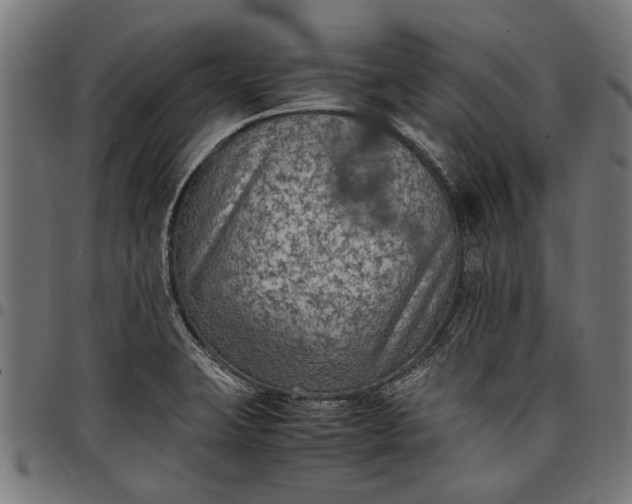 X0000097881423200803281214