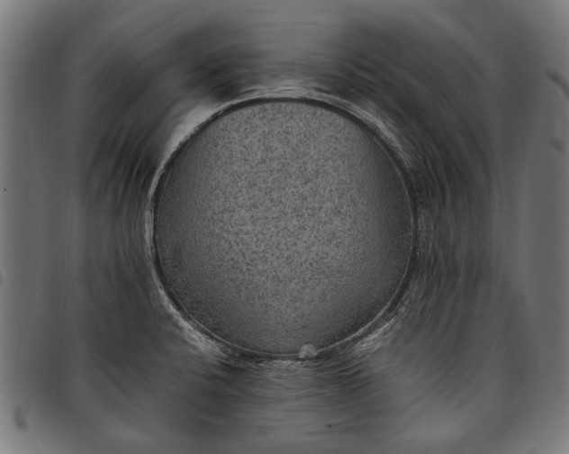 X0000097881424200803281214