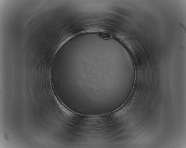 X0000097881425200803281214