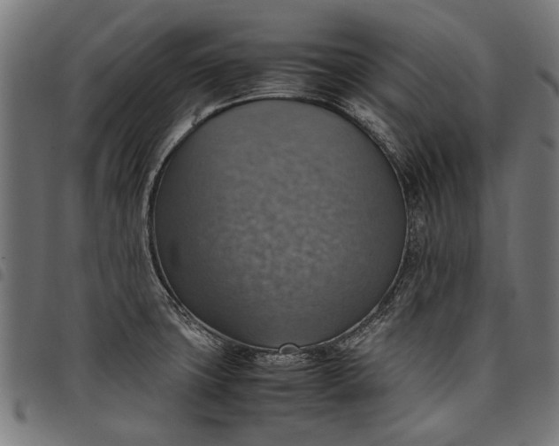 X0000097881427200803281214