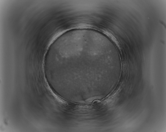 X0000097881429200803281214