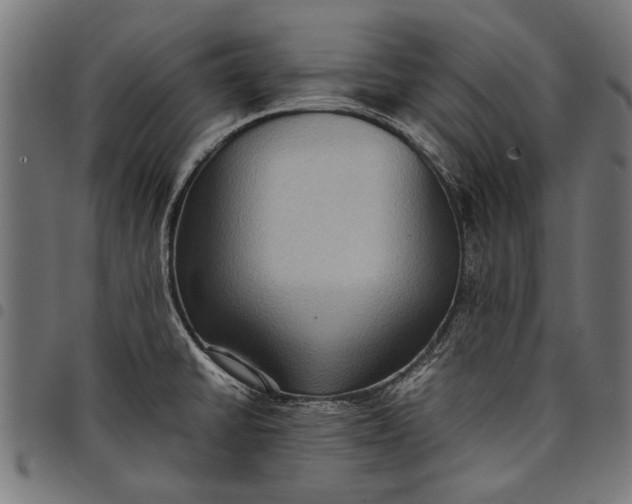 X0000097881430200803281214