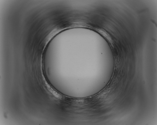 X0000097881431200803281214