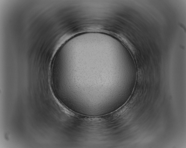 X0000097881432200803281214