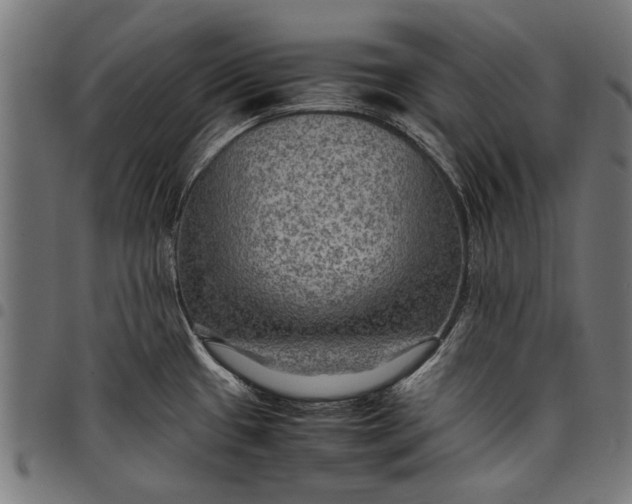 X0000097881433200803281214