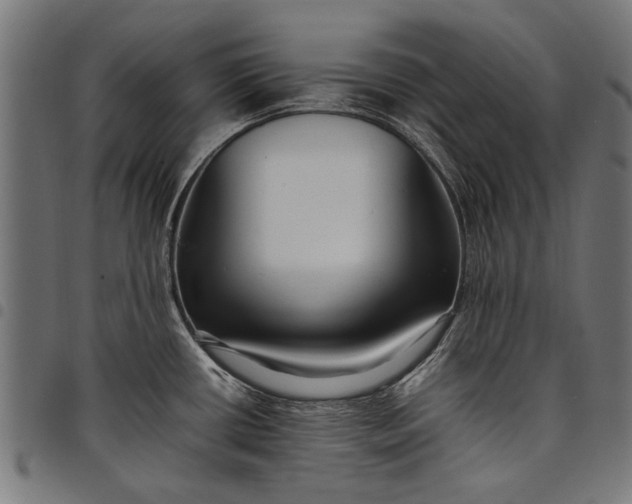 X0000097881434200803281214