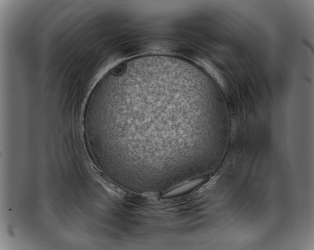 X0000097881435200803281214