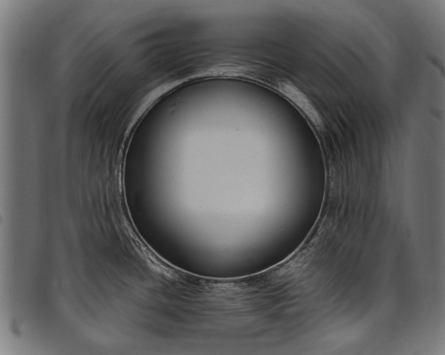 X0000097881436200803281214