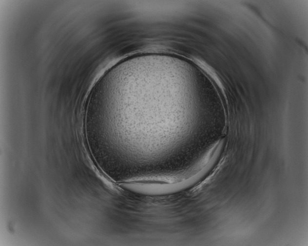 X0000097881437200803281214