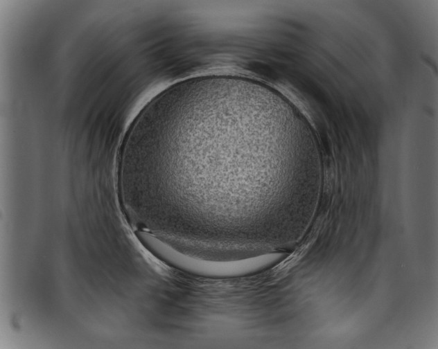 X0000097881438200803281214