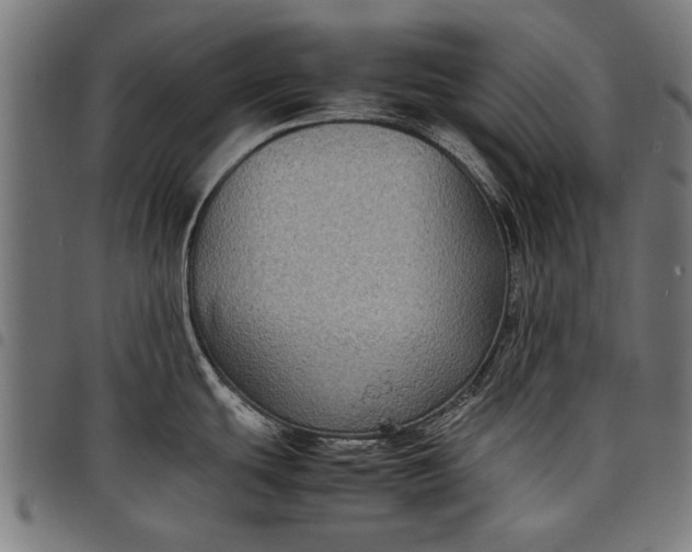 X0000097881439200803281214