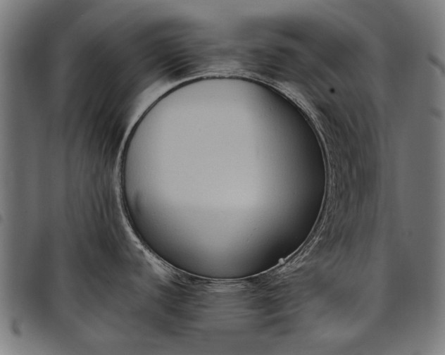 X0000097881440200803281214