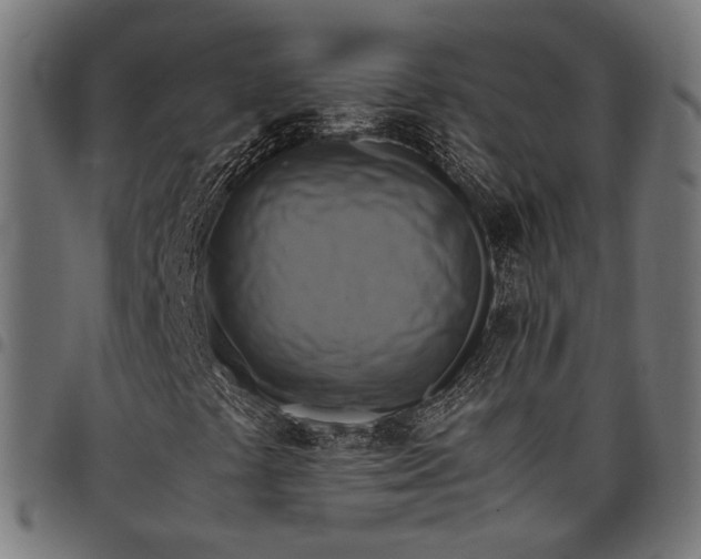 X0000097881441200803281213