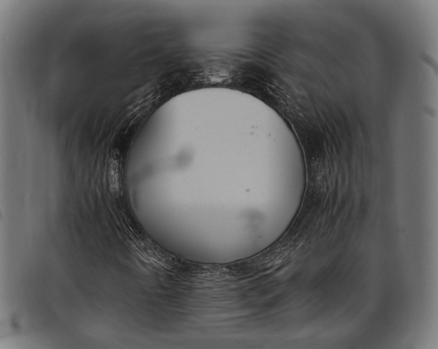 X0000097881442200803281213