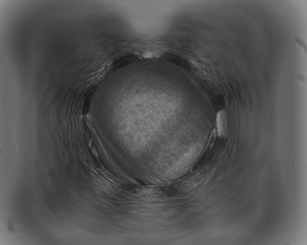 X0000097881443200803281213