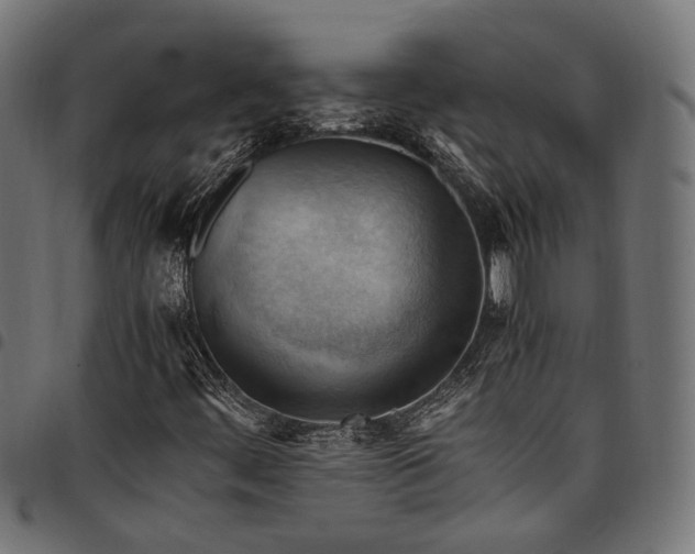 X0000097881444200803281213