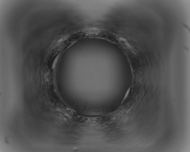 X0000097881445200803281213