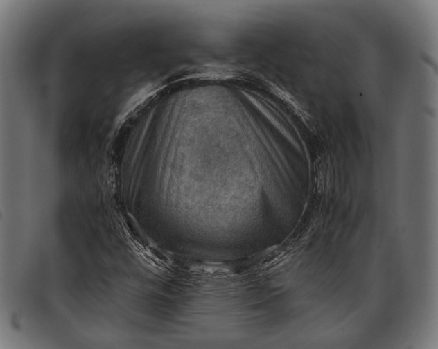 X0000097881448200803281213