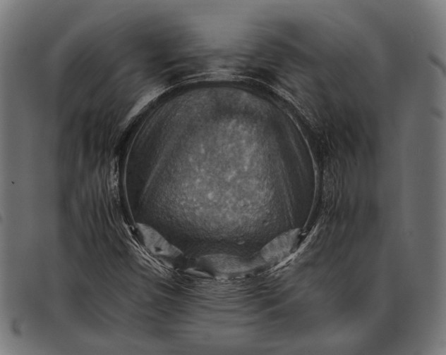 X0000097881450200803281213