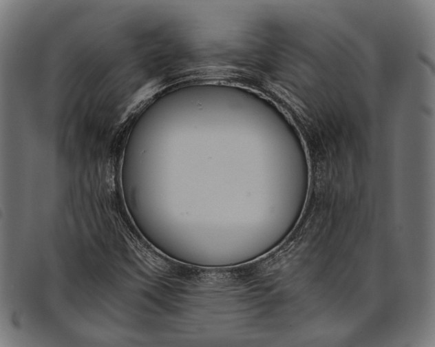 X0000097881451200803281213