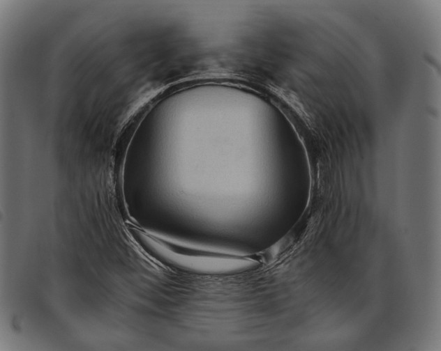 X0000097881452200803281213