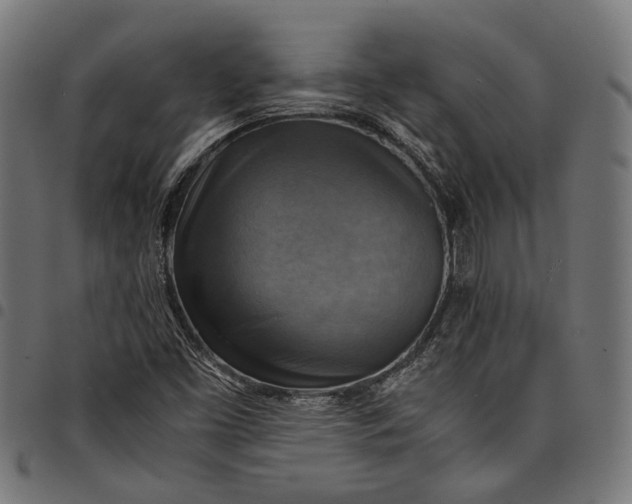 X0000097881453200803281213