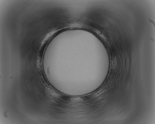 X0000097881454200803281213