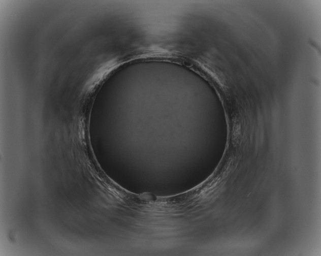 X0000097881455200803281213