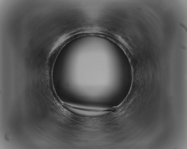 X0000097881456200803281213