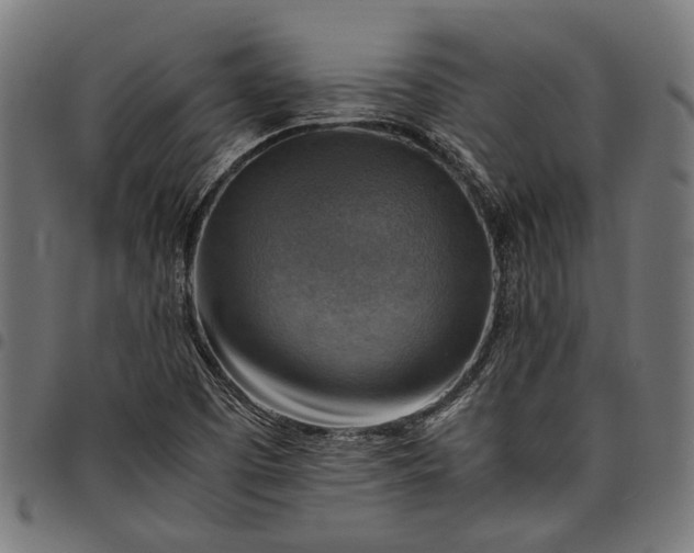 X0000097881457200803281213