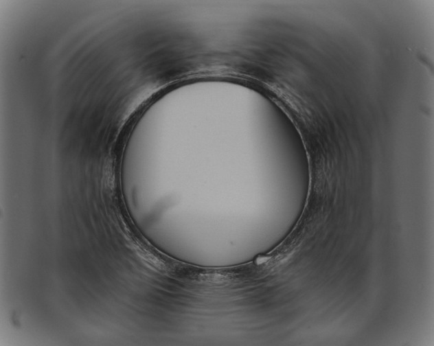 X0000097881458200803281213