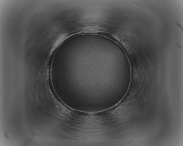 X0000097881459200803281213