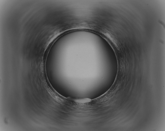 X0000097881460200803281213