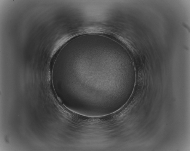 X0000097881461200803281213