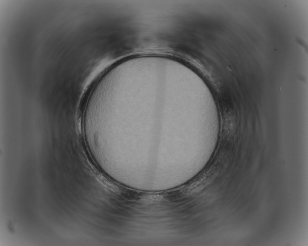 X0000097881462200803281213