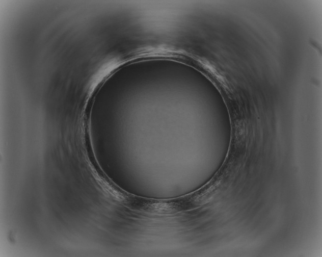 X0000097881463200803281213