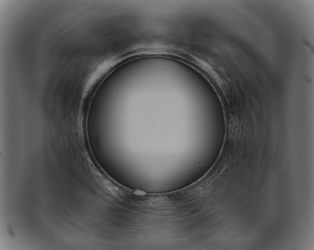 X0000097881464200803281213