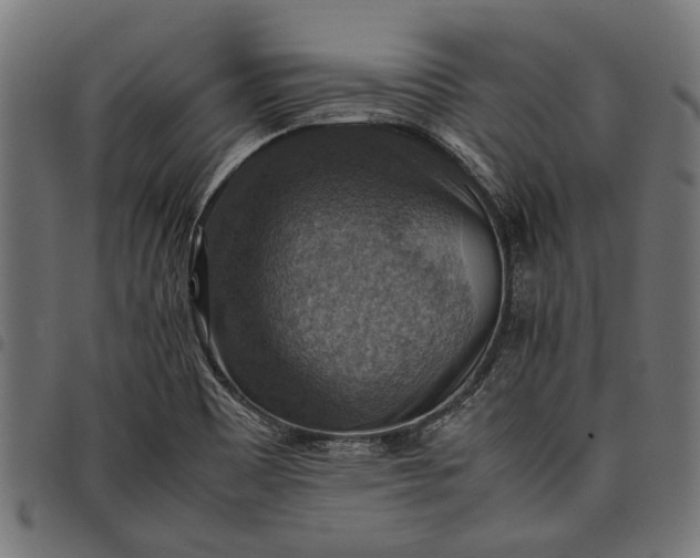 X0000097881465200803281213